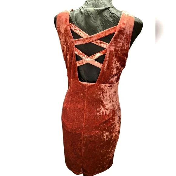 Molly Green Large Pink Velvet sleeveless Mini Dress - Picture 13 of 14